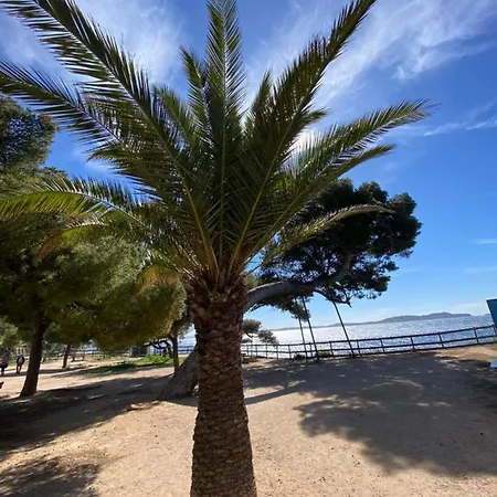 Carqueiranne Studio De Charme Proche Plages Exterior foto